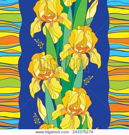 Vector Seamless Pattern With Outline Yellow Iris Flower, Bud, Green Leaf And Stripes On The Blue Bac