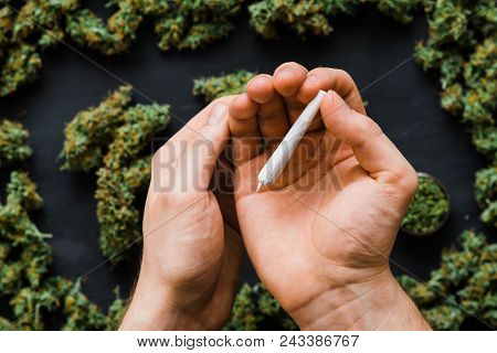 Grinder A Lot Ofx Marijuana, Fresh Buds Of Cannabis Many Weed. Copy Spase Copy-space