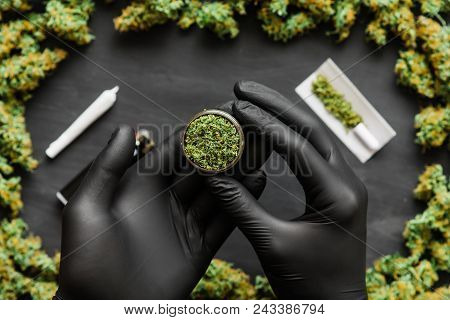Grinder A Lot Ofx Marijuana, Fresh Buds Of Cannabis Many Weed. Copy Spase Copy-space