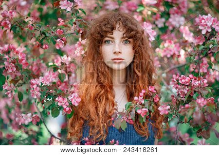 Summer Portrait Of Young Tender Girl, Ginder Hair, Redhead Young Girl With Freckled Skin. Caucasian 