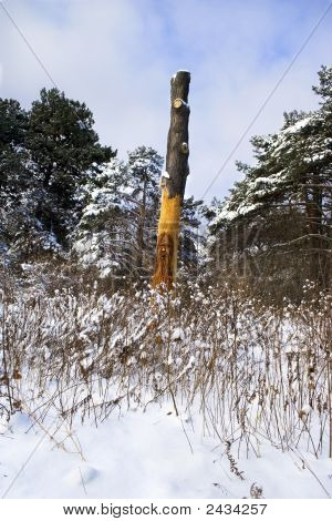 Totem do velho