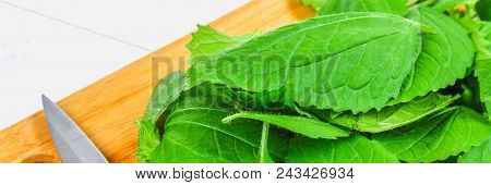 Leaves Of Fresh Green Nettle On A Cutting Wooden Board With A Knife On A Gray Concrete Table