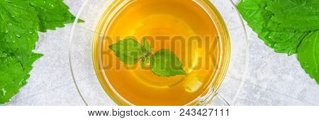 Leaves Of Fresh Green Nettle And A Clear Glass Cup Of Herbal Nettle Tea On A Gray Concrete Table. To
