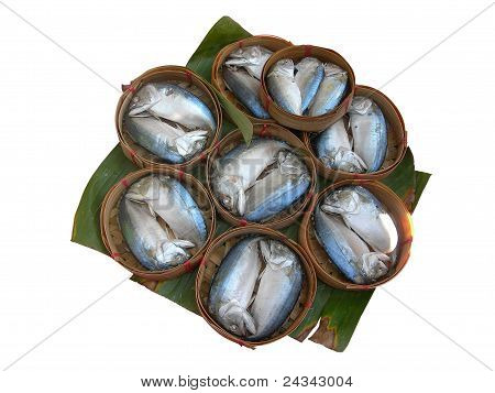 mackerels