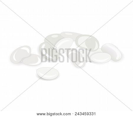 White Kidney Beans Isolated On White Background. Vector Illustration