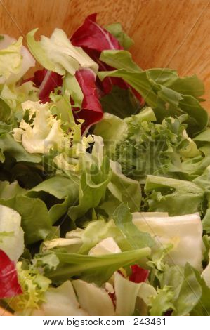Insalata europeo 274