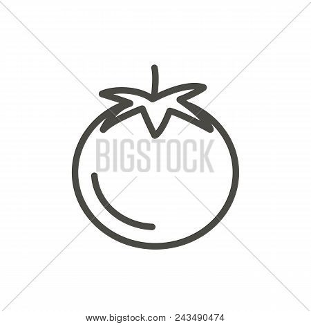 Tomato Icon Vector. Outline Wegetarian Food, Line Tomato Symbol