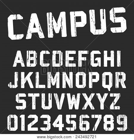 Alphabet Font Template. Vintage Letters And Numbers Campus College T-shirt Design. Vector Illustrati
