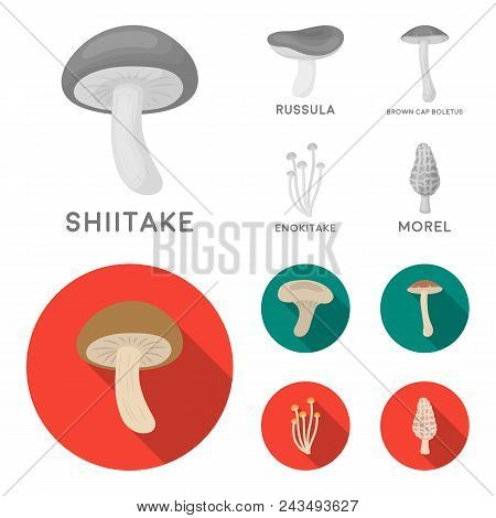 Shiitake, Brown Cap Boletus, Enokitake, Milk. Set Collection Icons In Monochrome, Flat Style Vector 