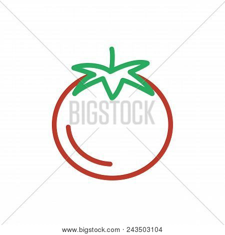 Tomato Red Icon Vector. Outline Color Wegetarian Food, Line Tomato Symbol. Trendy Flat Ui Sign Desig