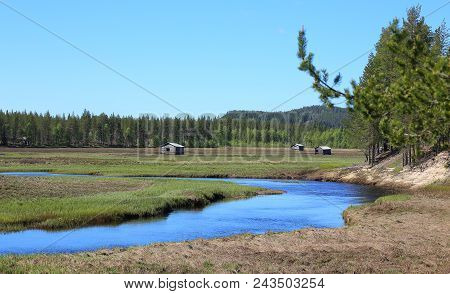 Svansele Dammaenger, A Former Water-meadow In Sweden. It Is Now A Nature Reserve
