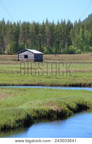 Svansele Dammaenger, A Former Water-meadow In Sweden. It Is Now A Nature Reserve