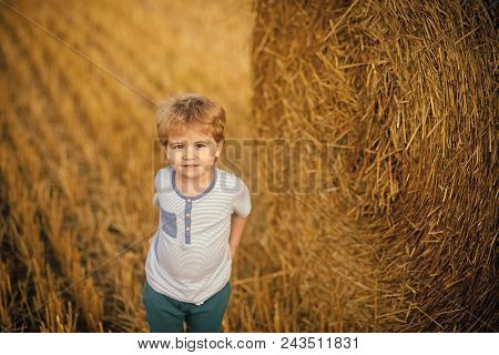 Kids Playing - Happy Game. Agritourism, Eco Tourism, Vacation, Travelling. Little Boy At Hay Bale, S