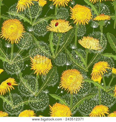 Seamless Pattern With  Dandelion Isolated On Green. Excellent Print For Greeting Cards, Clothes, Bed