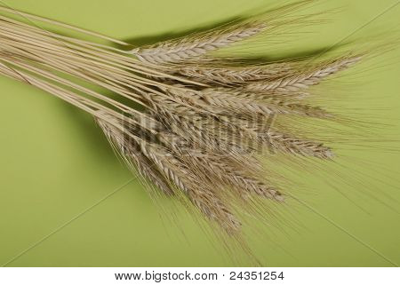 Grano