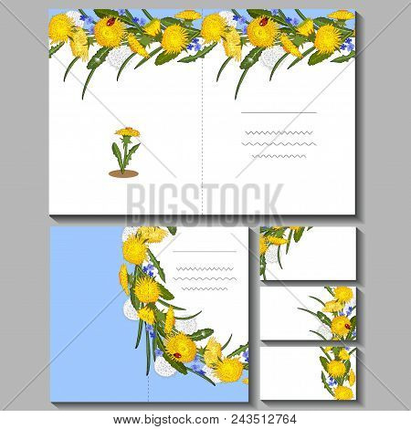 Set With Floral Templates Of Dandelions. Excellent Print For Greeting Cards, Clothes, Fabric, Gift B