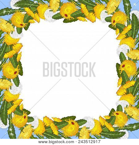 Floral Template Of Dandelions Isolated On White. Excellent Print For Greeting Cards, Clothes, Fabric