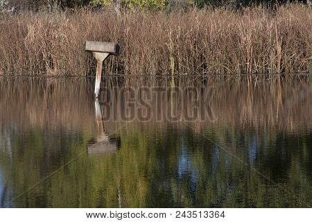 Lone Nesting Box In One Of The Ponds At Fountain Creek Regional Park, Fountain Co.