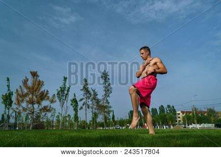 Tricking On Lawn In Park. Man Makes Kick. Martial Arts And Parkour. Street Workout.