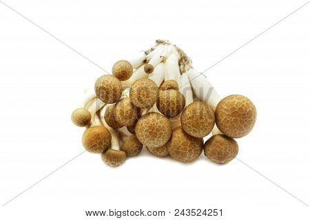 Top View Of Fresh Beech Mushroom Or Buna Shimeji Isolated On White Background. (hypsizygus Marmoreus