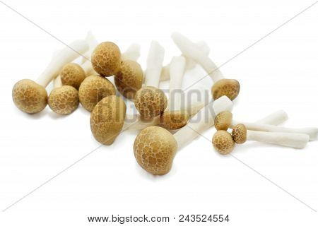 Top View Of Fresh Beech Mushroom Or Buna Shimeji Isolated On White Background. (hypsizygus Marmoreus