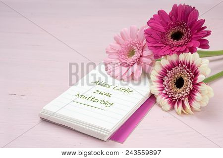 Three Gerbera Flowers Lying On A Writing Pad, Pastel Pink Colored Background With Copy Space, German