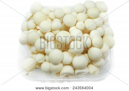 Top View Of Fresh Beech Mushroom Or Buna Shimeji Isolated On White Background. (hypsizygus Marmoreus