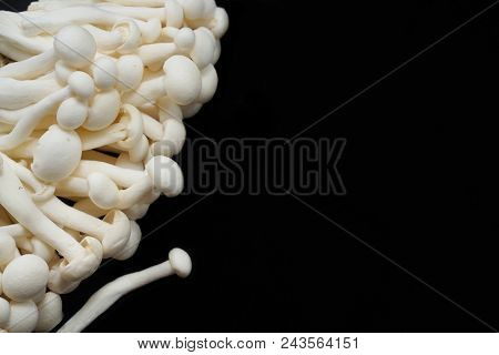 Top View Of Fresh Beech Mushroom Or Buna Shimeji Isolated On Black Background. (hypsizygus Marmoreus