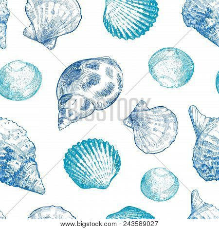 Seashells Seamless Pattern For Your Ocean Life Design. Elegant Sea Shells Background. Summer Templat