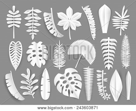 Tropical White Paper Cut Leaves. Trendy Summer Exotic Plants Elemets With Shadow Isolated On Grey Ba