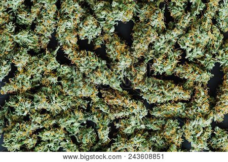 Grinder A Lot Ofx Marijuana, Fresh Buds Of Cannabis Many Weed. Copy Spase Copy-space