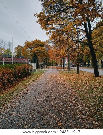 When The Leaves Are Falling Down You Know That Autumn Is Here.