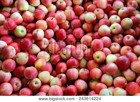 Background Of Many Red Ripe Apples For Sale At Market