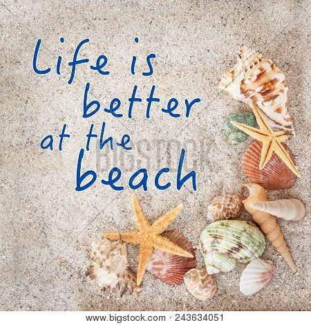 Sand With Seashells And Starfisch, Beach Vaction Concept