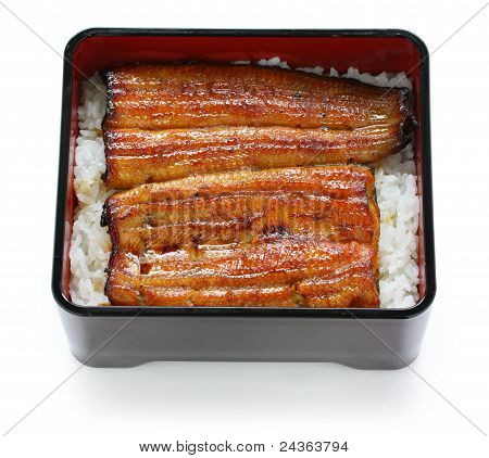 ปลา broiled ในข้าว unaju อาหารญี่ปุ่น unagi