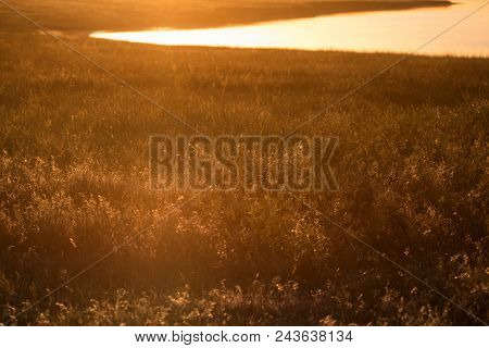 Amazing Rural Natural Background Of Setting Sun In The Feild And River