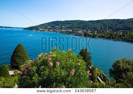 Maggiore Lake In Italy, Beautiful Garden With Oleander Bushes In Borromeo Island Isola Bella.