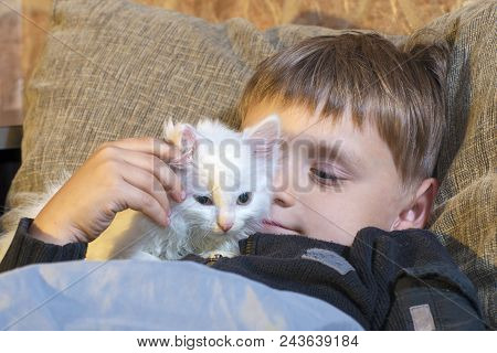 A Young And Cheerful Little Boy Is Playing With A White Cat On The Couch