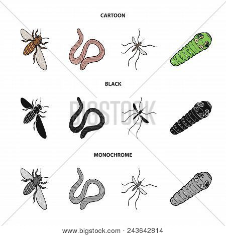 Arthropods Insect Mosquito, Bee.earth Worm, Caterpillar, Vermicular Set Collection Icons In Cartoon,