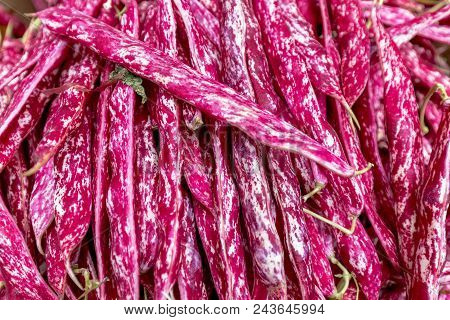 Red Runner Beans On The Ballaro Market In Palermo In Sicily