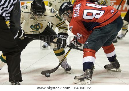 Ligue de Hockey de l'Ontario - London Vs Windsor