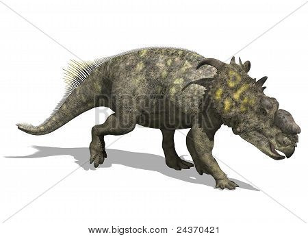 Pachyrhinosaurus dinosauro