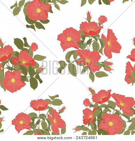 Vector Imprints Blooming Wild Rose Seamless Pattern. Abstract Digital Hand Drawn Picture. Mixed Medi