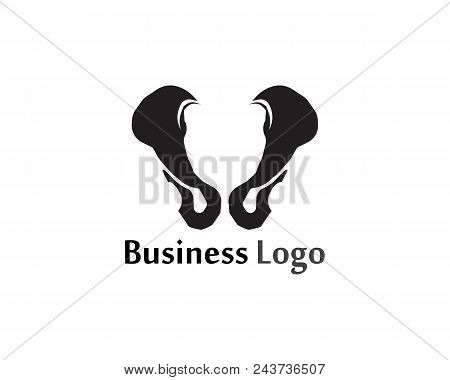 Spine Diagnostics Symbol Logo Template Vector Illustration Design