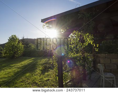 Brown Tiber Wooden Gazebo Or Pergola With Climbing Plants And Flowers, Chairs And Surrounding Sandst