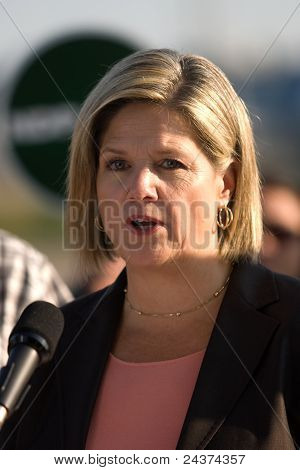 Andrea Horwath, eleição de Ontário de 2011