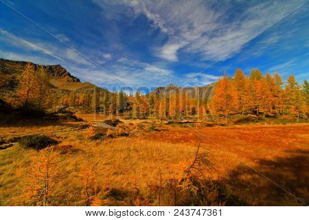 Gran Paradise Park	
Beautiful View Of Italian Mountains! Visit My Profile To See More Capture!