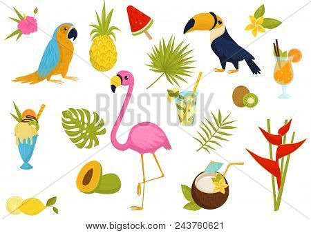 Set Of Tropical Items. Beautiful Birds, Tasty Cocktails And Fruits, Ice-cream, Flowers And Leaves Of