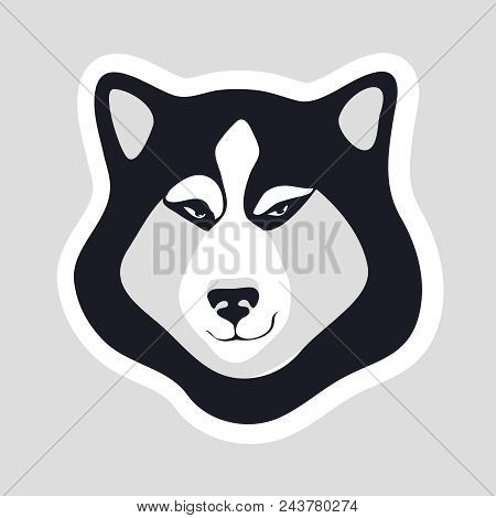 Siberian Husky On Gray Background Flirtatious Gaze And Smirk On Muzzle Dog Vector Isolated Sticker. 