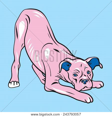 Vector Illustration. Cute Pink Dog In Pose